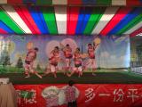 完美極緻國際舞蹈團演出經歷