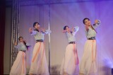 完美極緻國際舞蹈團演出經歷