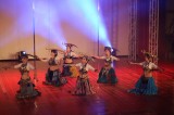 完美極緻國際舞蹈團演出經歷